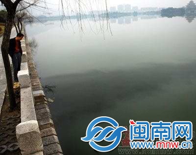 2011年，西湖遭油污污染