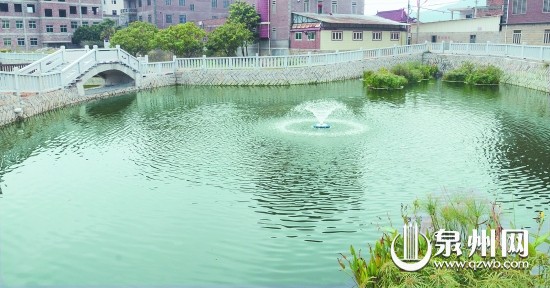 馬甲鎮(zhèn)新民村的氧化塘。