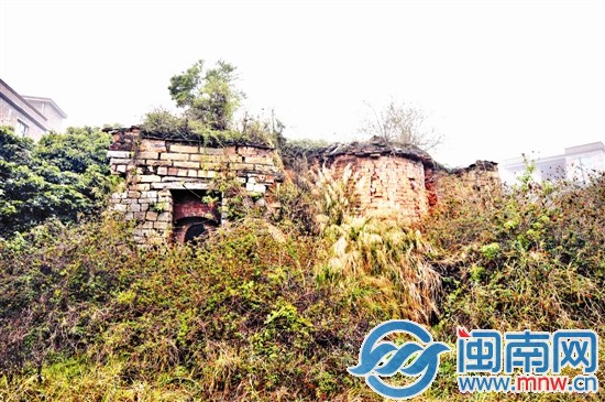 槐山村一處古窯，已經(jīng)被草叢包圍