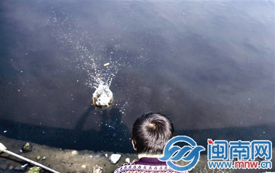 阿寶的樂園，是家門口那灣水塘