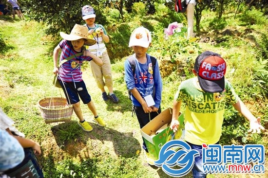 邊走邊吃，我們抬梨下山嘍
